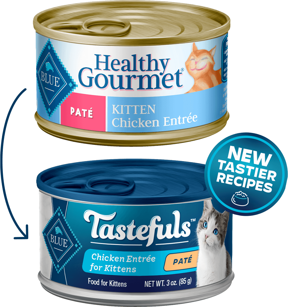 BLUE Buffalo Healthy Gourmet Chicken Entrée - Kittens